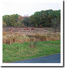 Rural Fields at SRU